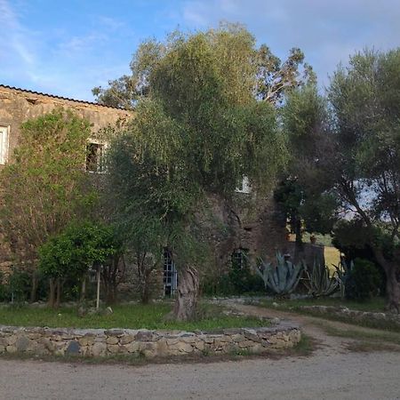Domaine Ostriconi Panzió Palasca  Kültér fotó