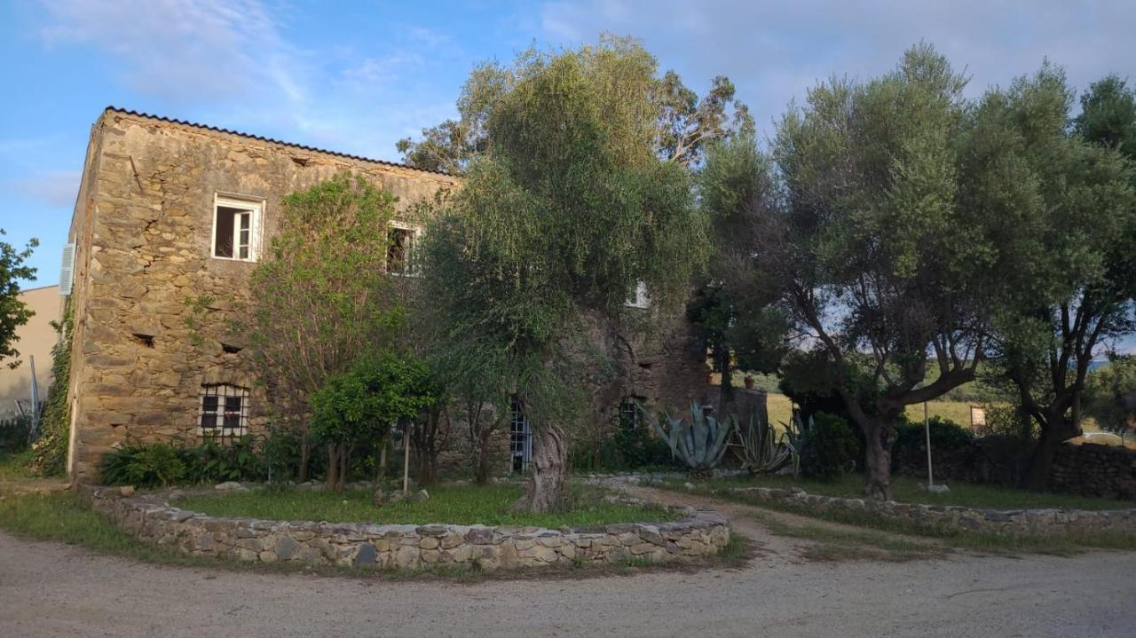 Domaine Ostriconi Panzió Palasca  Kültér fotó